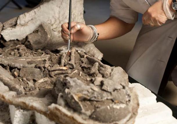 Mesolithic Burials In Europe From 8,000 Years Ago Point To Earliest ...