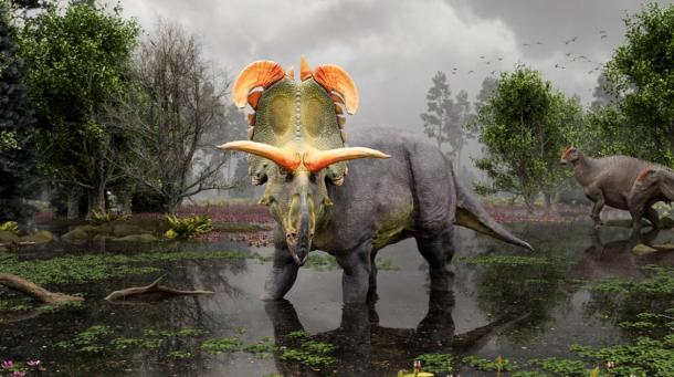 Reconstruction of Lokiceratops