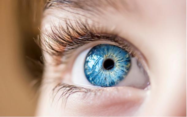 A blue eye close up