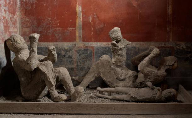 Plaster casts of what appeared to be a family in Pompeii are actually not genetically related. 