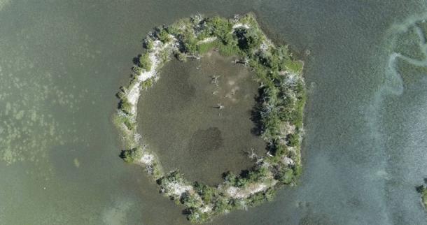 Aerial photograph of Fig Island Ring II off the coast of South Carolina