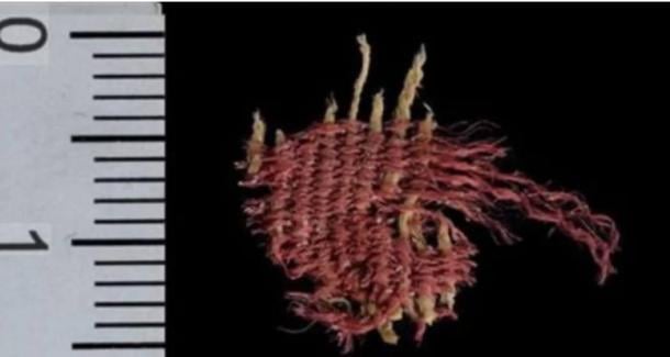 Sample of the oldest known insect-dyed fabric. Source: Dafna Gazit/Israel Antiquities Authority