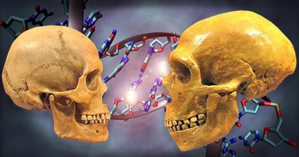 Scientific Breakthrough: Oldest partial genome sequenced, reveals