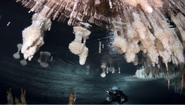 Diver at the Genovesa Cave, Mallorca.