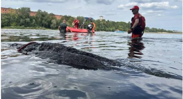 The dugout canoe being extracted from the Vistula River location. Source: pogotowiearcheologiczne.pl