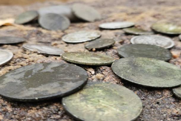 A sampling of the ancient coins retrieved from the lagoon in Wdecki Landscape Park.