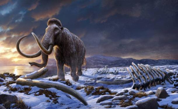 Woolly mammoth scene. Source: Beth Zaiken/Stockholm University By Nathan Falde