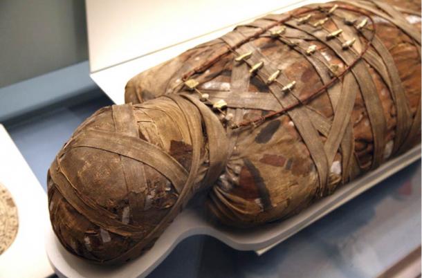 Ancient Egyptian Mummies Found Floating In Sewage Water In Egypt ...