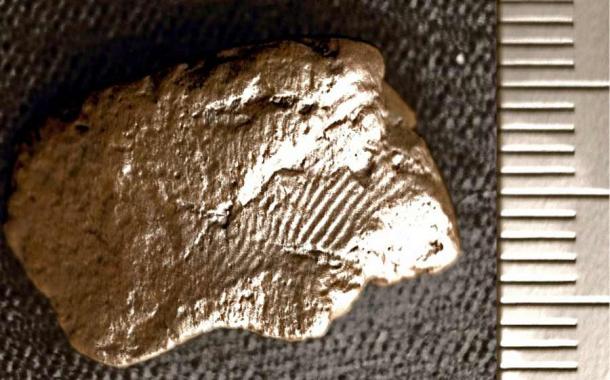 The Neolithic fingerprint of an ancient Orkney ceramic artist or helper on a sherd of pottery recovered at The Ness of Brodgar excavation site in Orkney. (Jan Blatchford / The Ness of Brodgar)