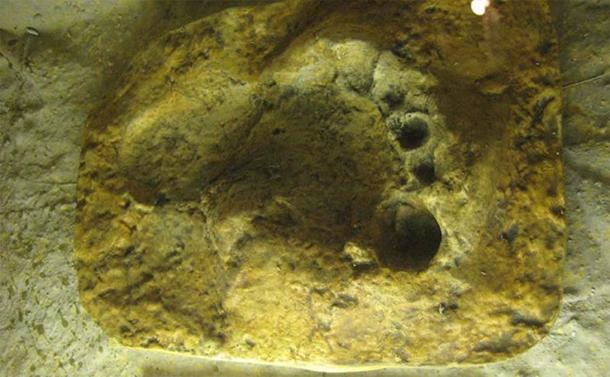 Neanderthal footprint found in Gibraltar. Archaeologists are forever on a quest to discover more about our Neanderthal cousins and to understand why they became extinct. (University of Seville / ScienceDaily)