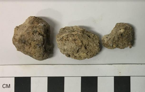 Fragments of the human coprolite or Stonehenge feces sample number DW11465 used in the study. (Lisa-Marie Shillito /Parasitology)