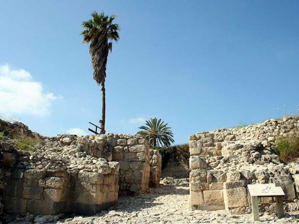 More Than Battles Of Armageddon: The Forgotten Story Of Megiddo, An ...