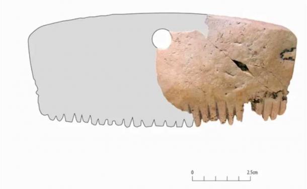 A hole cut in the object suggests it was used as an amulet, rather than a comb. (MOLA)