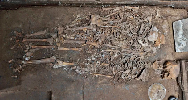 Three human bones were cleared from the west side of the coffin bed. Near the west wall is a juvenile aged 6 to 8, and the other two are adults aged between 50 and 60. (Shanxi Institute of Archaeology)