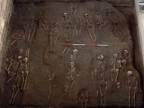 The image shows the human remains unearthed at the former Hospital of St. John the Evangelist in Cambridge, as part of a study on medieval cancer rates. (Cambridge Archaeological Unit / St John's College)