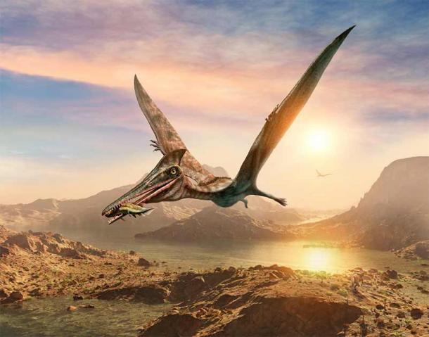An artist’s 3D illustration of a pterosaur dinosaur carrying a large fish in its jaws. (warpaintcobra / Adobe Stock)