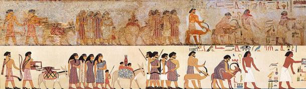 Researchers Reveal True Story Of Hyksos Dynasty In Ancient Egypt