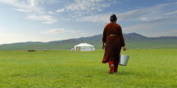 Fermier care transportă o găleată de lapte după ce a muls o vacă în pajiștile din Mongolia.  (MICHEL / Adobe Stock)