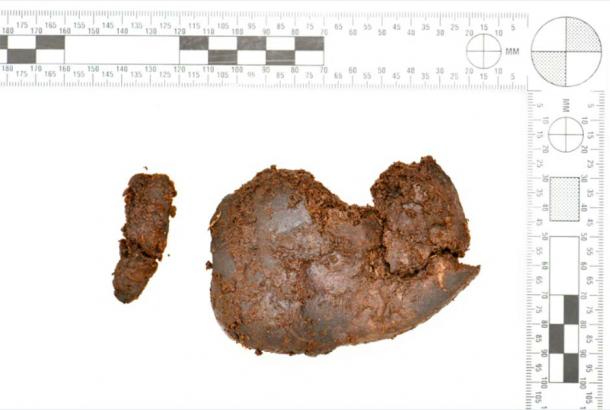 Image of the kidney found during the excavation at peatlands in Bellaghy. (PSNI)