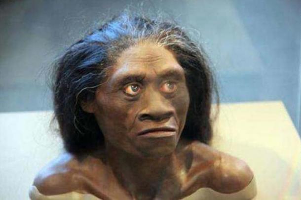 Origins Of Indonesian Hobbits Finally Revealed | Ancient Origins