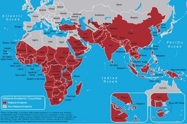 Researchers Find Evidence for Deadly Malaria in Imperial Rome 2000