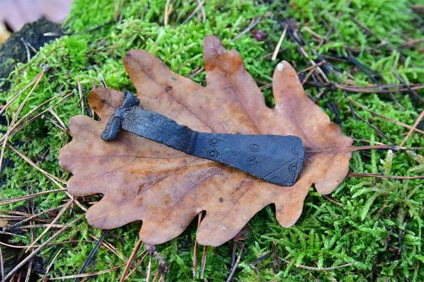 A more modern (2000-year-old) fibula (brooch fastener) found in a wider search of the area. (Nadleśnictwo Stargard)