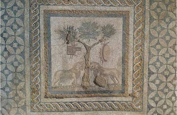 Close up of the Lions mosaic discovered in Prusias Ad Hypium. (Konuralp Museum)