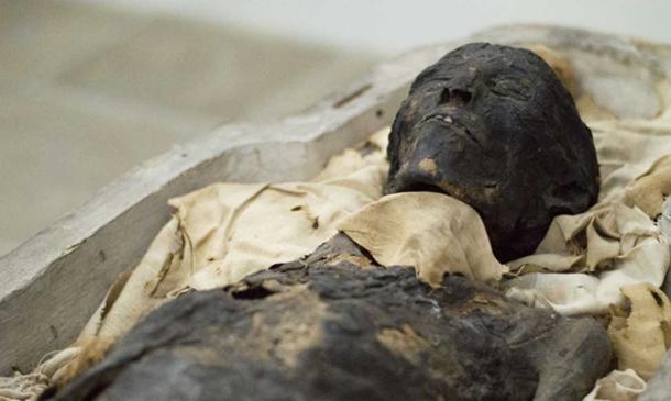 The mummy of Ta-Kush.