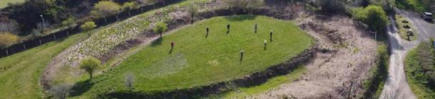 A panoramic look at the “new” Castilly Henge in Cornwall, England, which had been forgotten under dense vegetation for a long, long time. (Cornwall Archaeological Unit / Historic England)