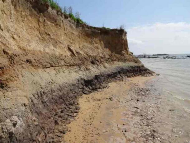 The photograph shows the eroded bank profile containing a deeply buried paleosol along the southwest side of Parsons Island as seen on May 20th, 2013.  (Darrin Lowrey/ Research Gate)