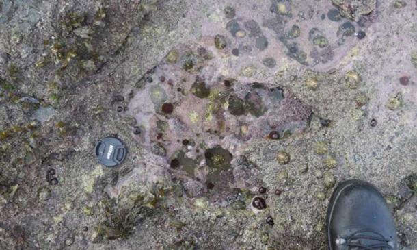 A series of rare dinosaur footprints discovered on the Isle of Skye, including this one made by a two-meter high theropod, is helping experts establish details of an important period in dinosaur evolution. (Paige dePolo)