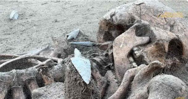 A skeleton containing a deposit of buried arrowheads.  (YouTube Screenshot/ArchaeoReporter)