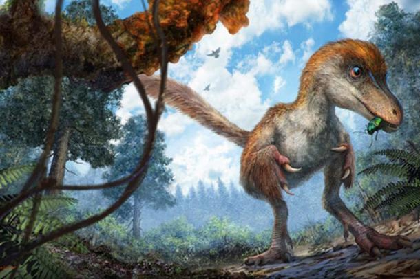 Artist impression of a small coelurosaur on the forest floor. Cheung Chung and Liu Yi
