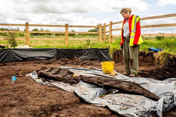 Wood specialist, Cathy Moore examining the pagan idol after it was discovered in Gornacrannagh. (Archaeological Management Solutions/European Association of Archaeologists)