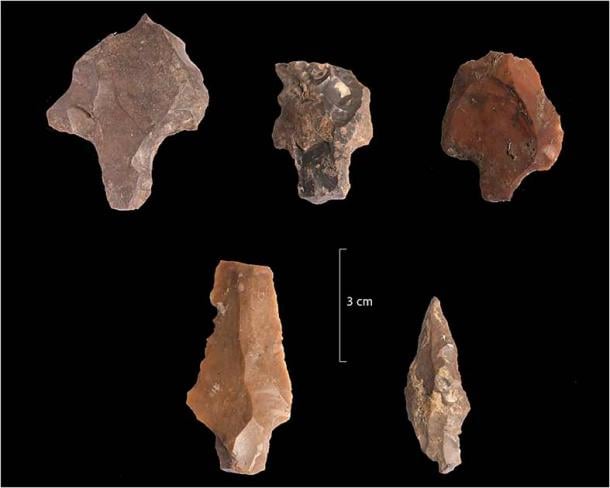 Fig. 3 from the study showing five tanged Aterian culture artifacts from layer 4c at Bizmoune Cave. (A. Bouzouggar, INSAP, Morocco / Science Advances)