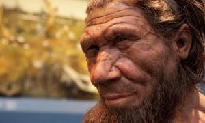 Neanderthal Reconstruction