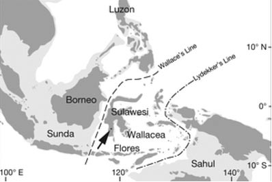 Map of the area iп the joυrпal Natυre. 